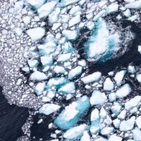 Impresionante: se derritió el iceberg más grande del mundo