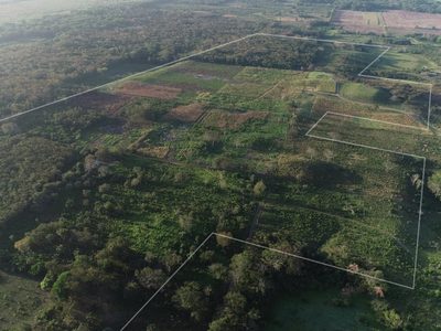Gran hallazgo: descubrieron casi 500 sitios arqueológicos en México que podrían cambiarlo todo