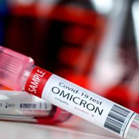 Descubren que la variante Ómicron ya estaba presente en Países Bajos antes del anuncio de Sudáfrica