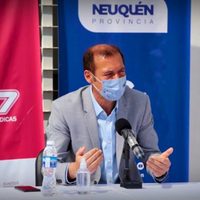 Elecciones 2021: Omar Gutiérrez impulsa la eliminación de las PASO
