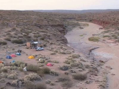 El CONICET halló restos de cuatro dinosaurios que datan de 100 millones de años en Neuquén
