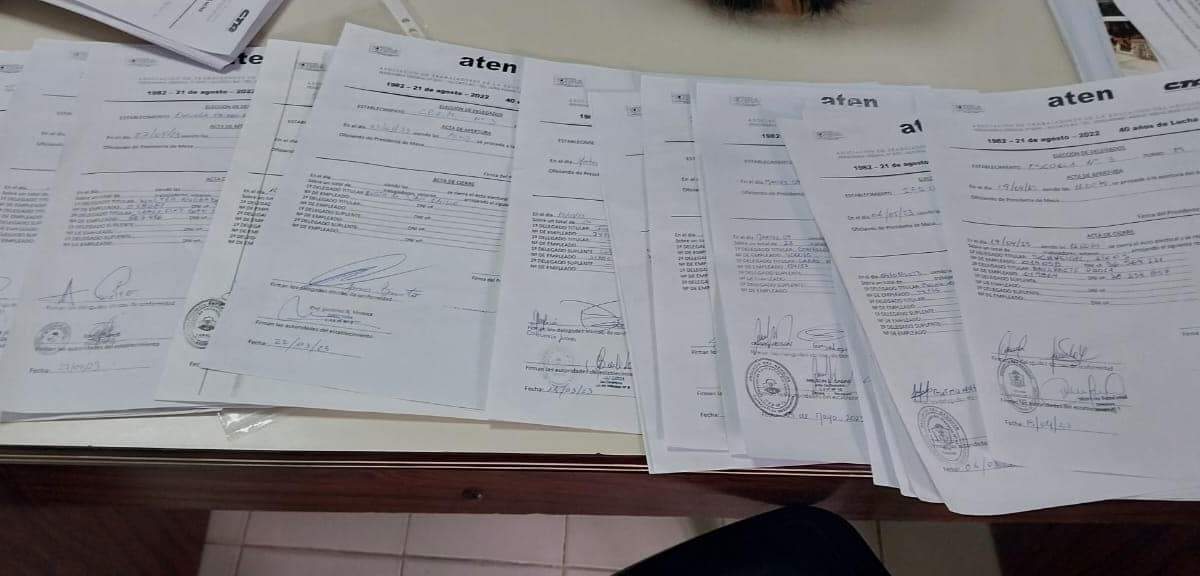 Resultados de las elecciones de delegados. Fuente: (Aten)