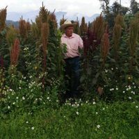 Matan a dos investigadores agroambientalistas en Tlalmanalco, Edomex