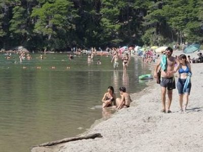 "Roedores muertos": Todo se normaliza y habilitaron nuevas áreas en Villa La Angostura