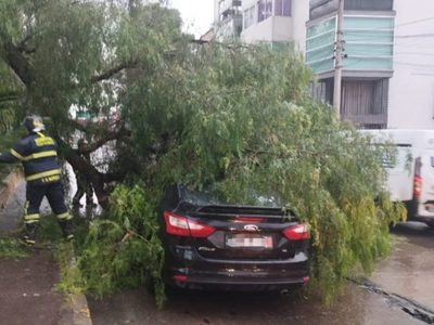 Tormenta derriba seis árboles y provoca inundaciones en la CDMX