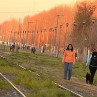 Nuevas medidas de flexibilización en una localidad rionegrina