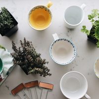 Descubrí cómo cultivar hierbas aromáticas en una taza