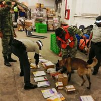 Aseguran 42 kilos de fentanilo en Puebla; valían más de 352 mdp en el mercado negro
