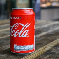No las tires: transformá las latas de gaseosa o cerveza vacías en este maravilloso proyecto para tu jardín