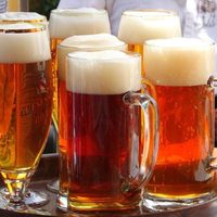 El próximo fin de semana llega el Festival de la Cerveza Artesanal de Plottier