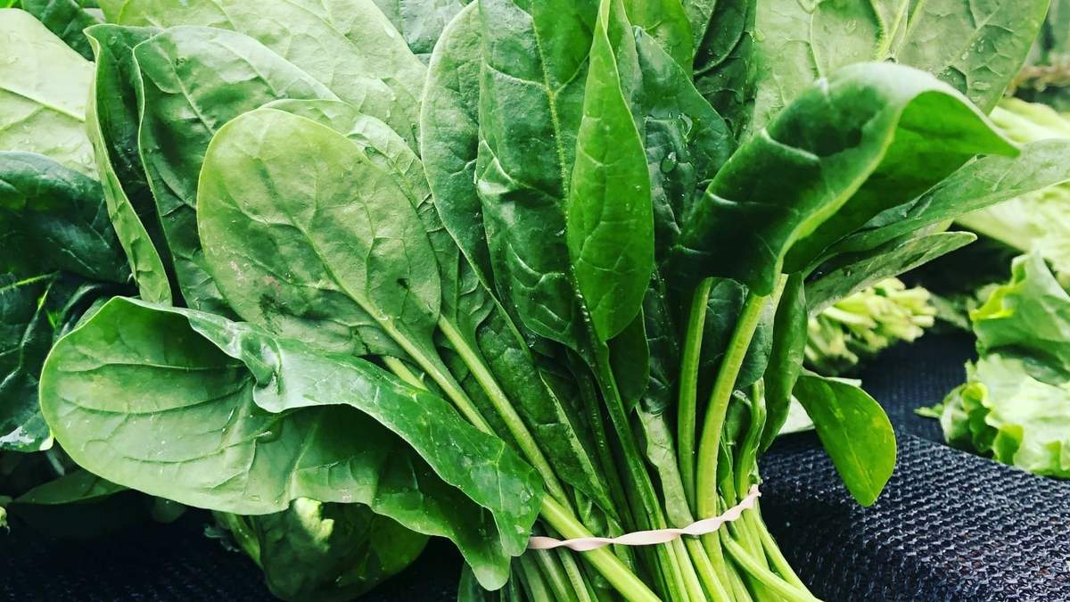 Recetas. Fuente: (Instagram)
