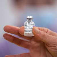 La vacuna de Oxford y AstraZeneca también a la vuelta de la esquina: cuándo llegará al país