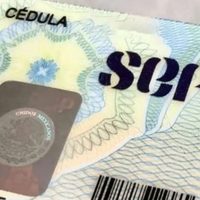 SEP habilita sitio de internet para tramitar cédulas profesionales: estos son los requisitos