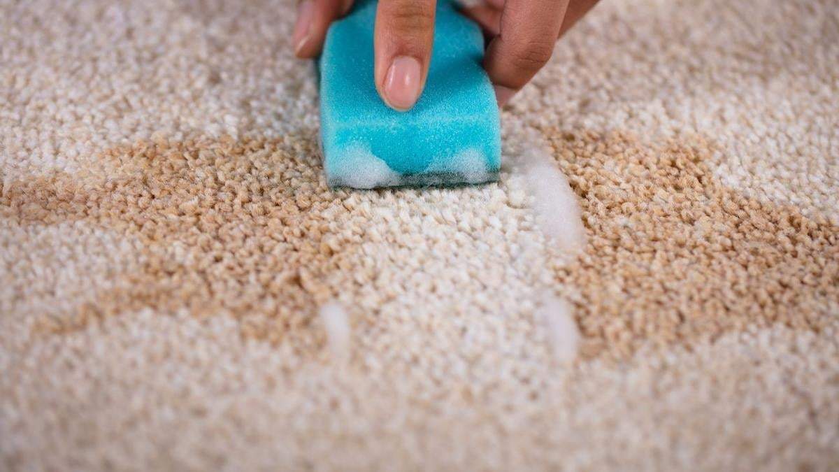 Cómo quitar manchas de mate de la alfombra. Fuente: (X)
