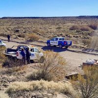 Guardafaunas de Neuquén secuestraron piezas producto de actividad furtiva en varios puntos de la provincia