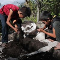 La pandemia podría ocasionar un aumento del trabajo infantil en América Latina: OIT
