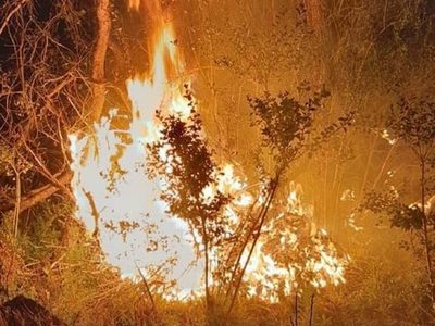 El incendio en Cuesta del Ternero está "incontrolable" y afectó cerca de 1.500 hectáreas