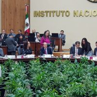 Partidos deberán reintegrar recursos no ejercidos en elecciones extraordinarias de 2015 a 2018: INE