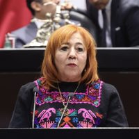 Rosario Piedra denuncia “campaña de descrédito” en comparecencia ante la Permanente
