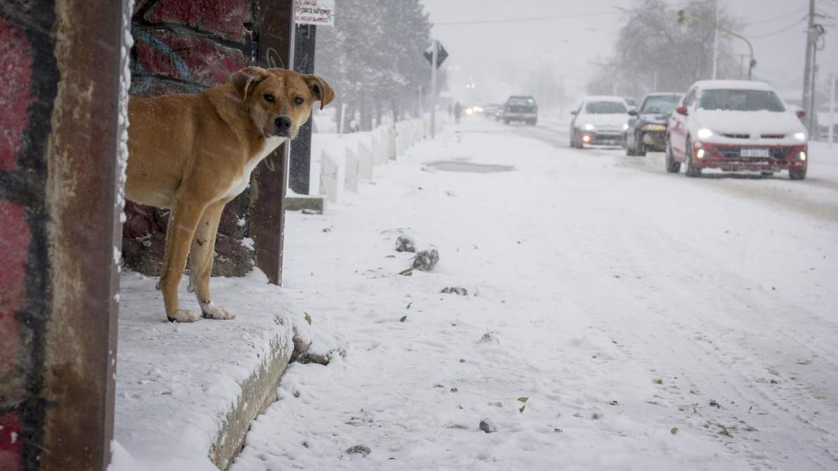 Permanencia de nieve en Ruta 40. Fuente: (Twitter)