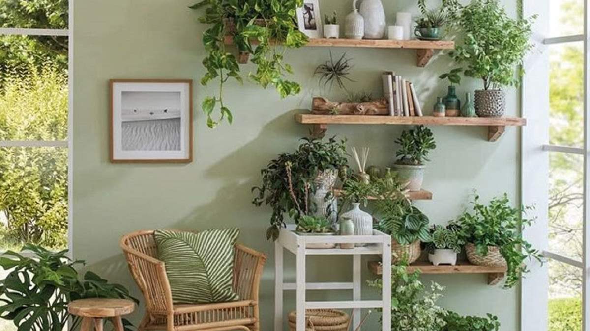 Plantas. Fuente: (X)
