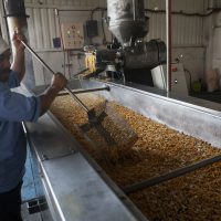 El 25% de trabajadores mexicanos sobreviven con menos de 88.36 pesos al día: especialistas de la UNAM
