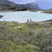 Se terminó el misterio: un estudio reveló por qué los vikingos abandonaron Groenlandia