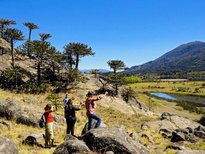 ¡Turismo récord!: Neuquén, con ingresos millonarios...¡Las cifras!