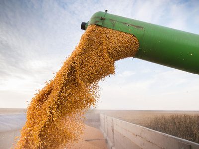 Granos: la próxima cosecha podría alcanzar los 36 mil millones de dólares