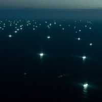 Depredación del Mar Argentino: impactantes imágenes del robo de recursos