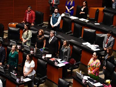 Declaran constitucional la reforma que reduce edad mínima para ser diputado y secretario de Estado