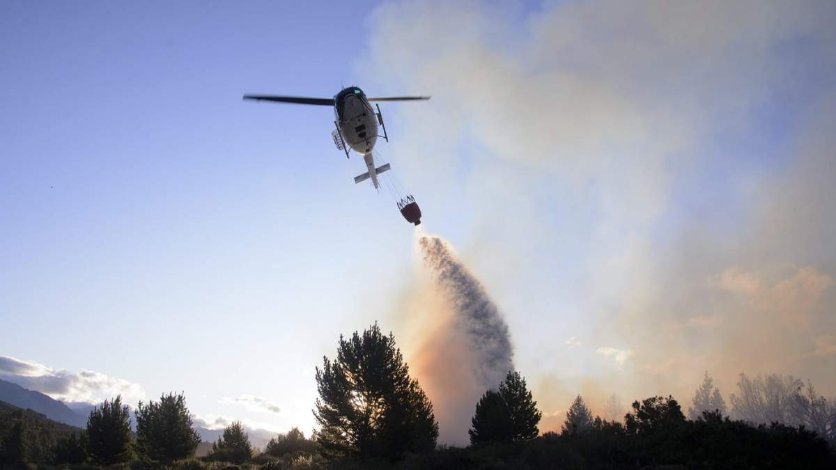 Incendio forestal en la Patagonia. Fuente: (Twitter)