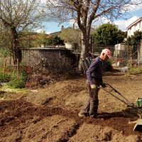 ¡Ahora todos se quieren ir al campo!: aumentan proyectos en los pueblos