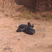 Denuncian ejecución de dos policías comunitarios de Xicotlán, Guerrero