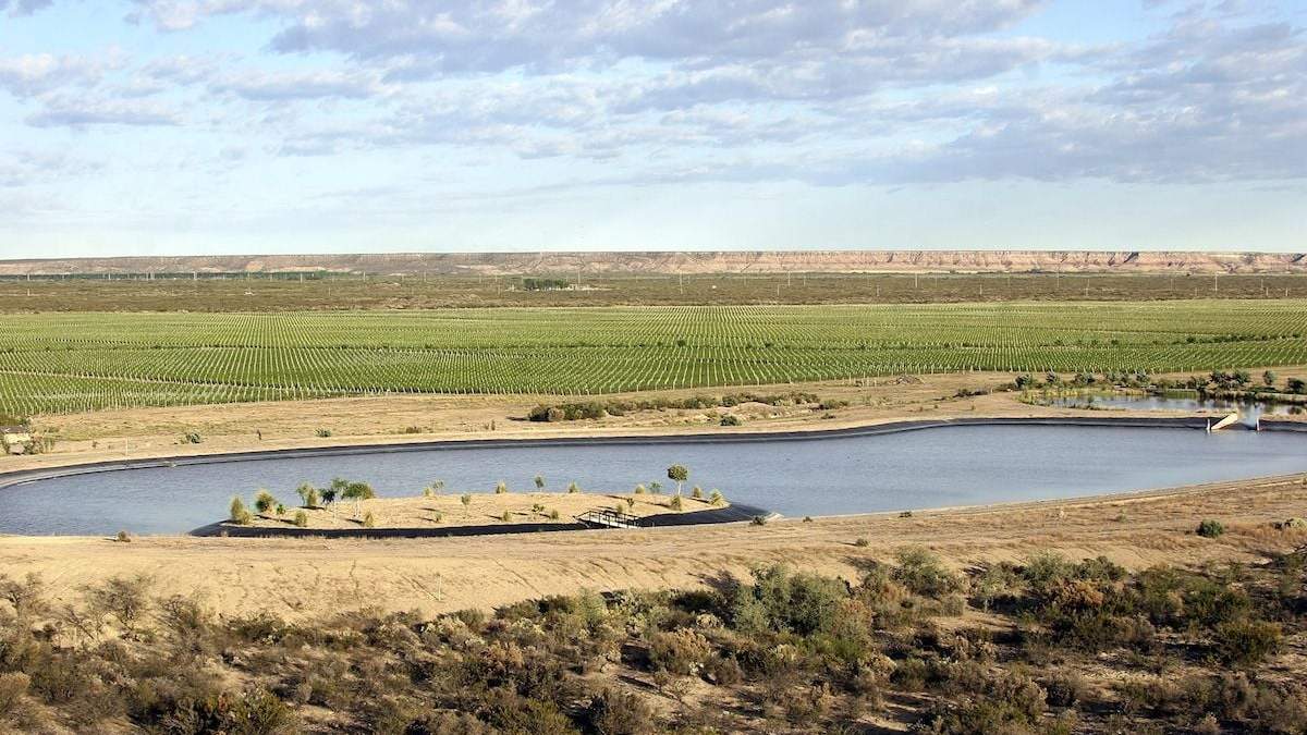 Bodega del desierto pampeamo. Fuente: (Twitter).
