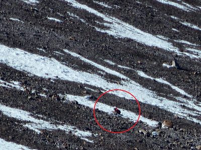 Rescastaron a un turista japonés que había sufrido una caída de 300 metros en el Aconcagua