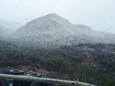 Gobierno sonorense estima en 984 mdp las pérdidas agrícolas por bajas temperaturas