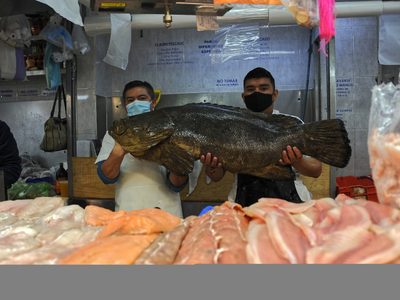 Primer semestre de 2021: Merman ventas del pequeño comercio y la canasta básica en plena alza