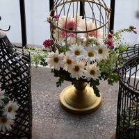 No tires las tapas de los envases de cremas: creá esta bella maceta que te ahorrará gastar en un vivero