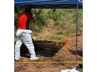 Suman 45 cuerpos hallados en fosas clandestinas de Tecomán, Colima