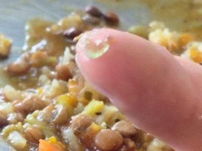 Padres de la EPEA 2 de Plottier denunciaron que alumnos hallaron vidrio en la comida
