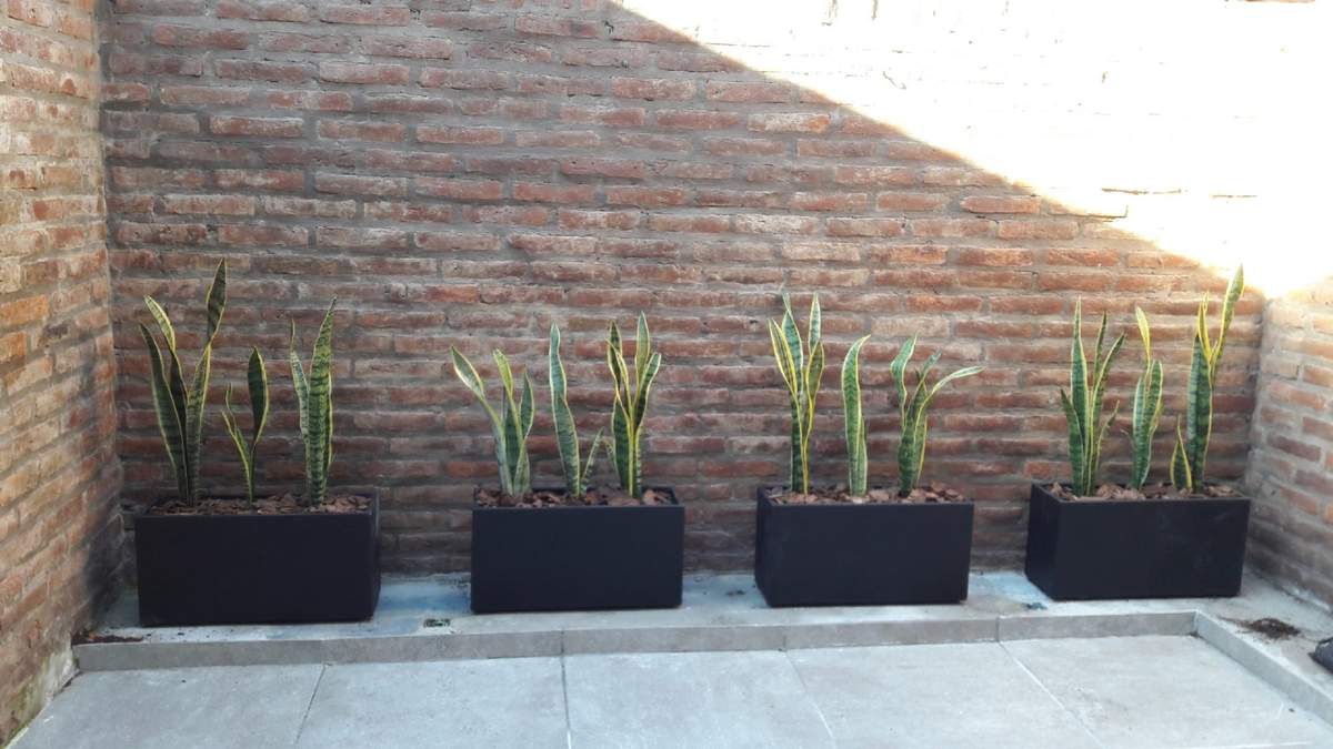 Macetas. Fuente: (Instagram)