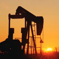 Paro de petroleros: el gremio inicia una medida de fuerza tras denunciar despidos masivos
