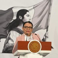 En la reunión de Gobernación con Volker Türk no se abordó el rechazo al informe del CED