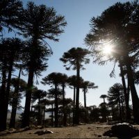 Caviahue-Copahue es el pueblo más lindo del mundo elegido por la Organización Mundial de Turismo