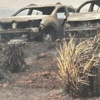 Incendios en Córdoba: se estiman que hay más de 800 hectáreas arrasadas en el Parque Nacional Quebrada del Condorito