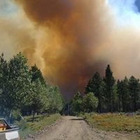 Sandro Badilla habló sobre la situación actual de los incendios en Aluminé