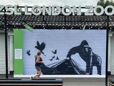 Zoológico de Londres retira mural de animales de Banksy para protegerlo