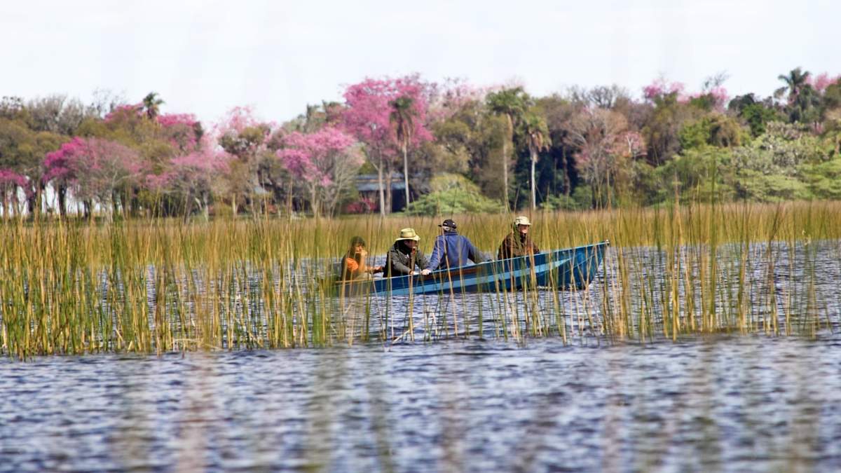 Un destino turístico ideal: Parque Iberá en Corrientes. Fuente: (Instagram)