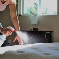 La mezcla mágica de los hoteles para eliminar las manchas de tu viejo colchón en menos de 10 minutos